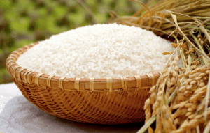 colheita de arroz - robustec